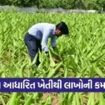vishal patel natural farming success story 1