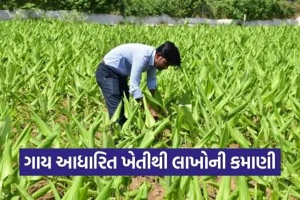 vishal patel natural farming success story 1