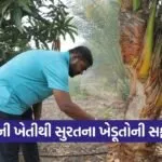surat nira farming success story 1