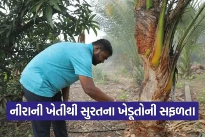 surat nira farming success story 1