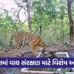 gujarat tiger conservation initiative 1