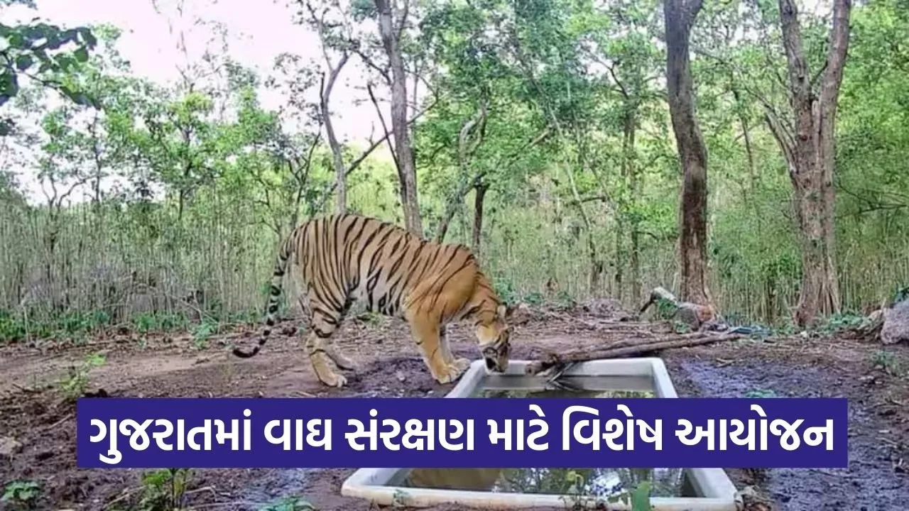 gujarat tiger conservation initiative 1.jpg