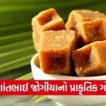 Porbandar Natural Farming Jaggery Innovation 1