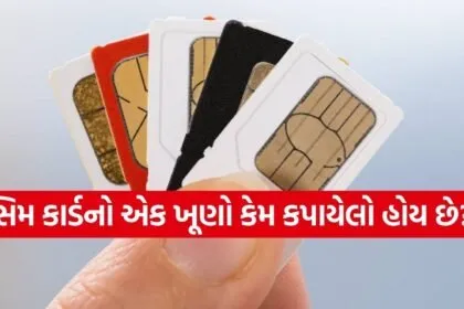 SIM Card