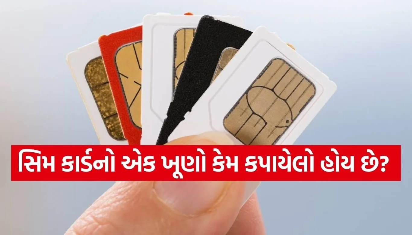 SIM Card