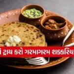 sweet potato paratha