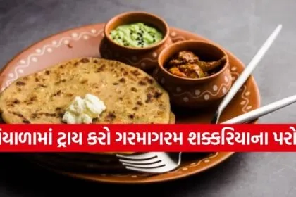 sweet potato paratha