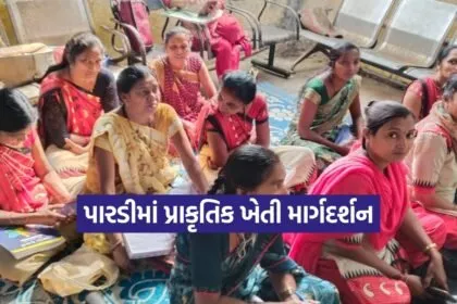 Dharmishtha 20260123 215312 0000