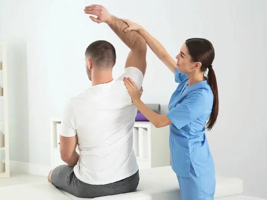  Physiotherapists