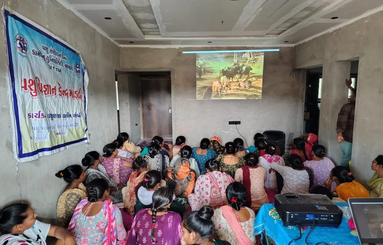 પશુપાલન અને પ્રાણી કલ્યાણ જાગૃતિ માસ અંતર્ગત ચોરંબા ગામે તાલીમ: મહિલા પશુપાલકોને વૈજ્ઞાનિક માર્ગદર્શન 2 Mandvi Animal Husbandry Welfare Training 2026.jpeg