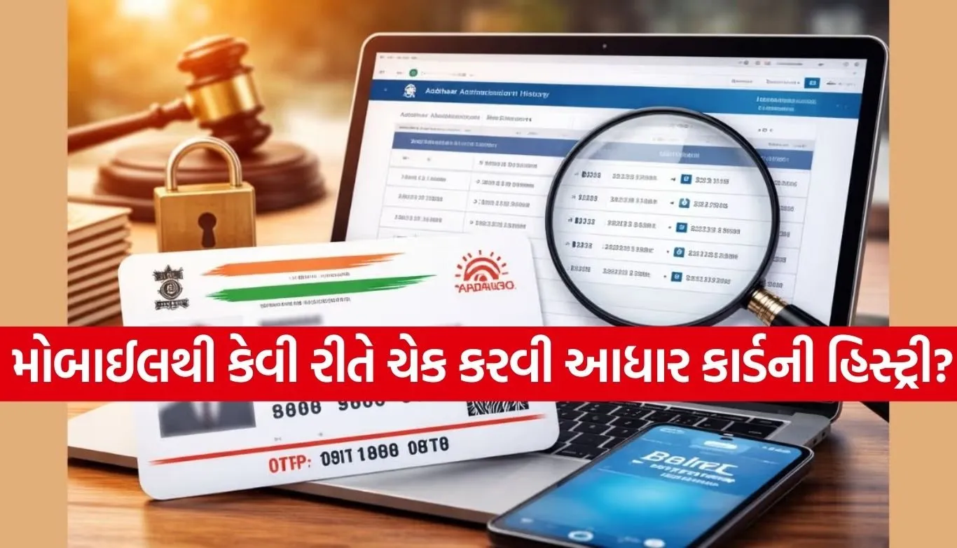 Aadhaar Number Misuse