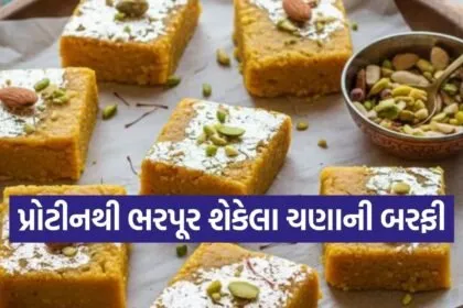 Roasted Chana Barfi