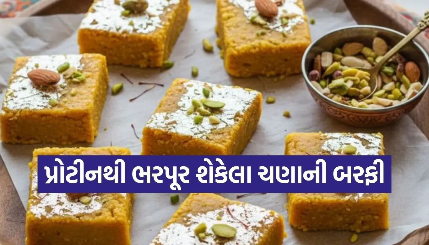 Roasted Chana Barfi
