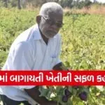 Dang Subir Horticulture Farming Success 1
