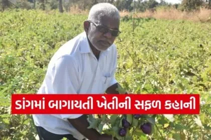 Dang Subir Horticulture Farming Success 1