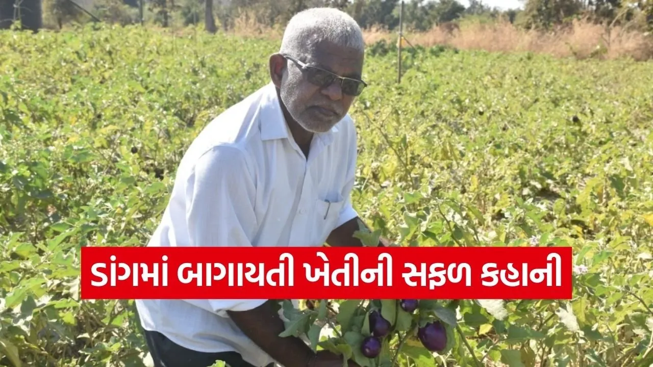 Dang Subir Horticulture Farming Success 1.jpg