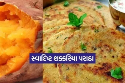 Dharmishtha 2026 01 24T165112.246