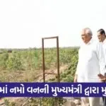 Morbi Namo Van Chief Minister Visit 1