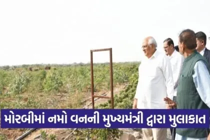 Morbi Namo Van Chief Minister Visit 1