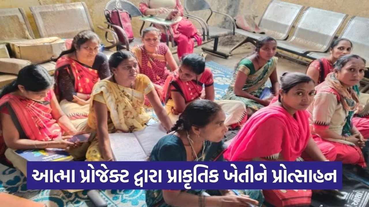 Valsad ATMA Natural Farming Training.jpg