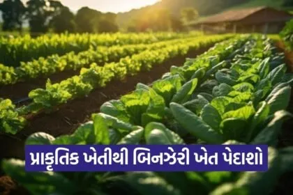 Natural Farming Organic Pest Control India 1