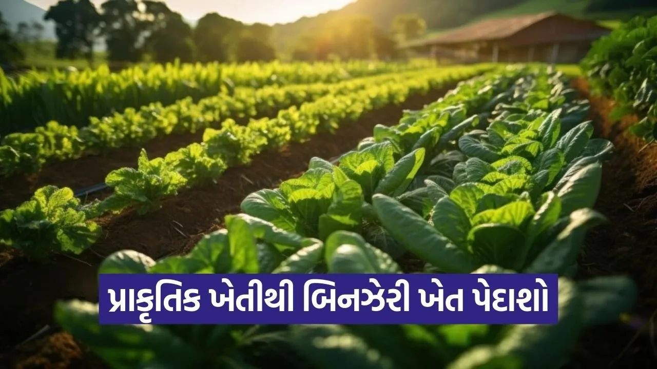 Natural Farming Organic Pest Control India 1.jpg