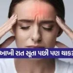 INDIA 1 2026 01 25T231507.741