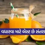 Orange Juice Recipe
