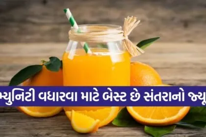 Orange Juice Recipe