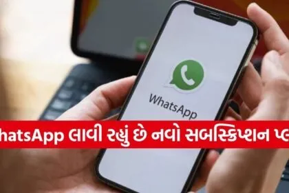 WhatsApp paid service