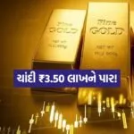INDIA 1 24