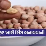 Salted Peanut