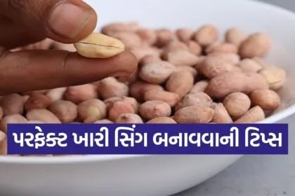 Salted Peanut