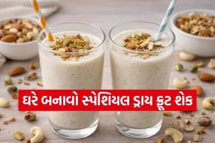 Dry Fruit Shake