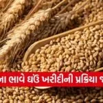 Wheat MSP Gujarat Procurement 2026 1
