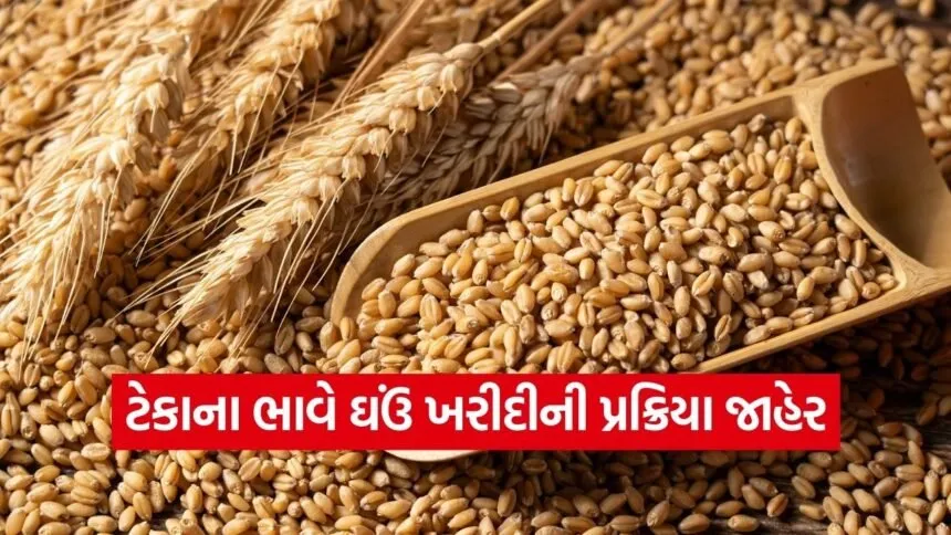 Wheat MSP Gujarat Procurement 2026 1