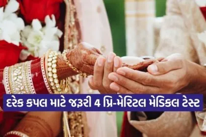 dharmishtha 1 2026 01 28T140234.174