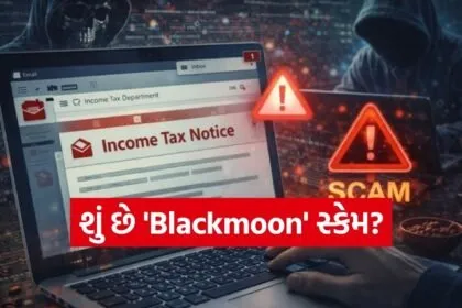 Income Tax Scam