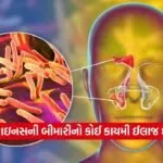 dharmishtha 1 2026 01 28T151107.587