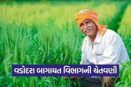 Vadodara Horticulture Scheme iKhedut Notice 2026 1