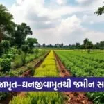 Natural Farming Beejamrut Ghanjeevamrut India 1
