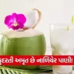 dharmishtha 1 2026 01 28T155715.876