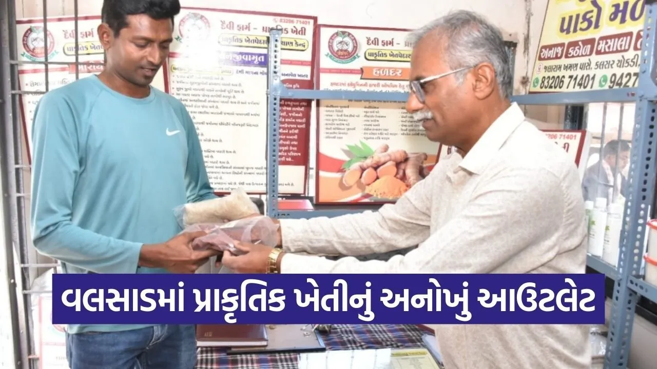 Valsad Natural Farming Outlet Success 1.jpg