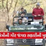 Bhupendra Patel Gir Safari Lion Visit 1