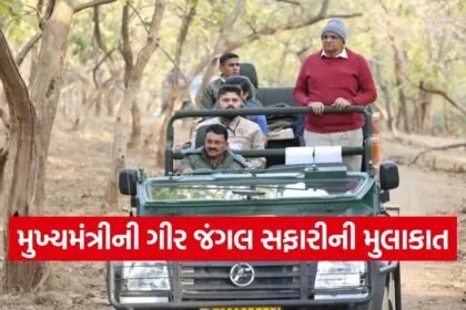 Bhupendra Patel Gir Safari Lion Visit 1