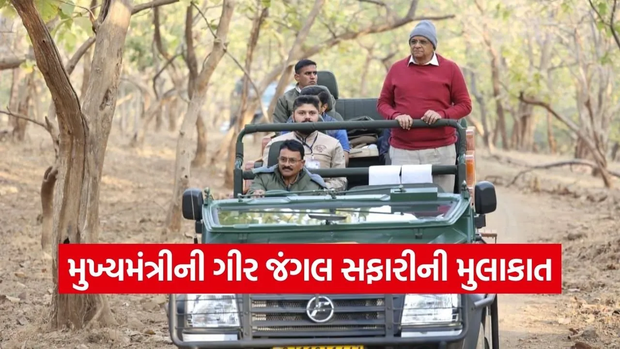 Bhupendra Patel Gir Safari Lion Visit 1.jpg