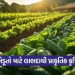 natural farming benefits india 1
