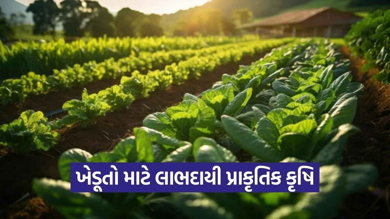 natural farming benefits india 1.jpg