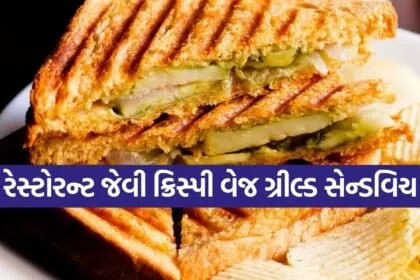 Veg Grilled Sandwich
