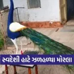 bhavnagar women bead work peacock art award 1